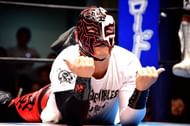 BUSHI